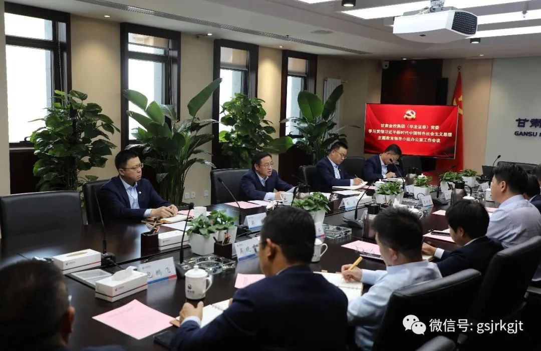 云博·电子（中国）官方网站（华龙证券）党委主题教育领导小组办公室召开第二次工作会议